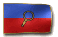 Flag forensic evaluation.gif